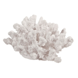 12CM Coral