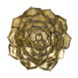 Succulent Wall Plaque