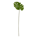 "Monstera  Leaf,Green"