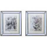 S/2 58x48cm Botanicalwallart