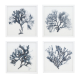 S/4 45x45CM Blue&White Coral Framed Wall Art