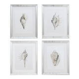 S/4 40x50CM WhiteMirrorShell