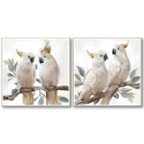S/2 82CM Cockatoo Pair Frame