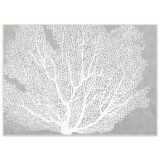 140x100CMLargeReefCoralFramed