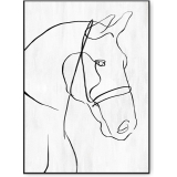 80x120 FramdCanvas Horse