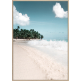 70x100CM Palm Beach-1