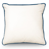 55x55cm CushionW/FeatherIns186
