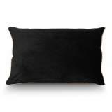 40x60CM CushionW/FeatherIns224