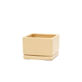SQ Pot W/Saucer-Cream