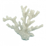 19CM Ivory Bush Coral