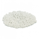 25CM Acropora coral