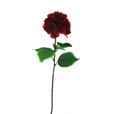 Hydrangea-Red