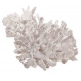 18CM Coral