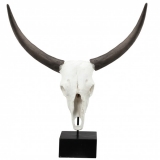 "Cow Skull,Resin"