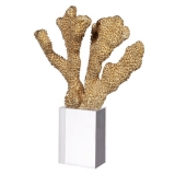 29CM Golden Coral Accent