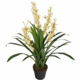 100CM Cymbidium Orchid