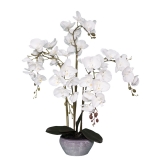 84cm White Orchid 5 Stems