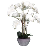 63CM White Orchid 5 Stems