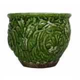 21CM tropic round pot