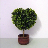 17cm Boxwood Topiary Tree