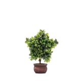 17cm Boxwood Topiary Tree