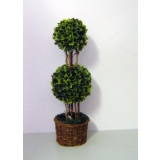 38cm Boxwood Topiary Tree