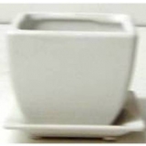 SQ Pot W/Saucer-White