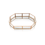 3020CM rose gold glass tray